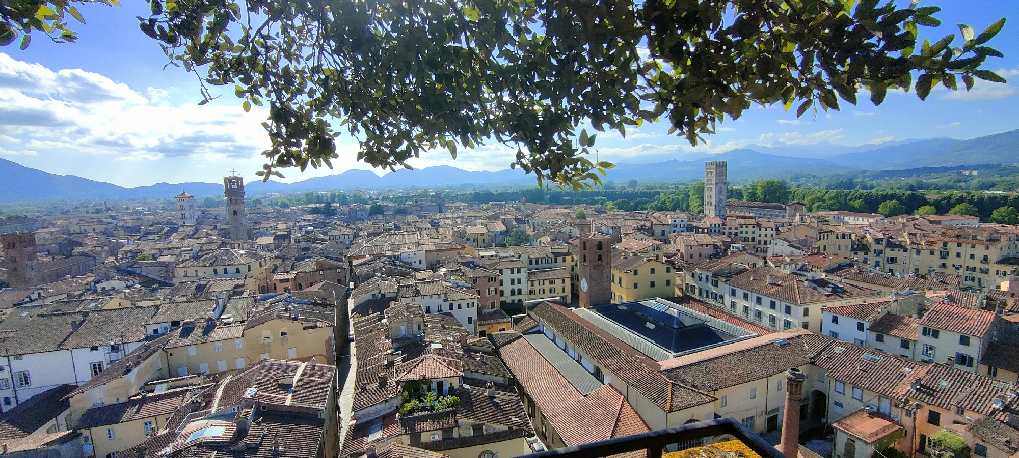 Tanya Adelina Pacini