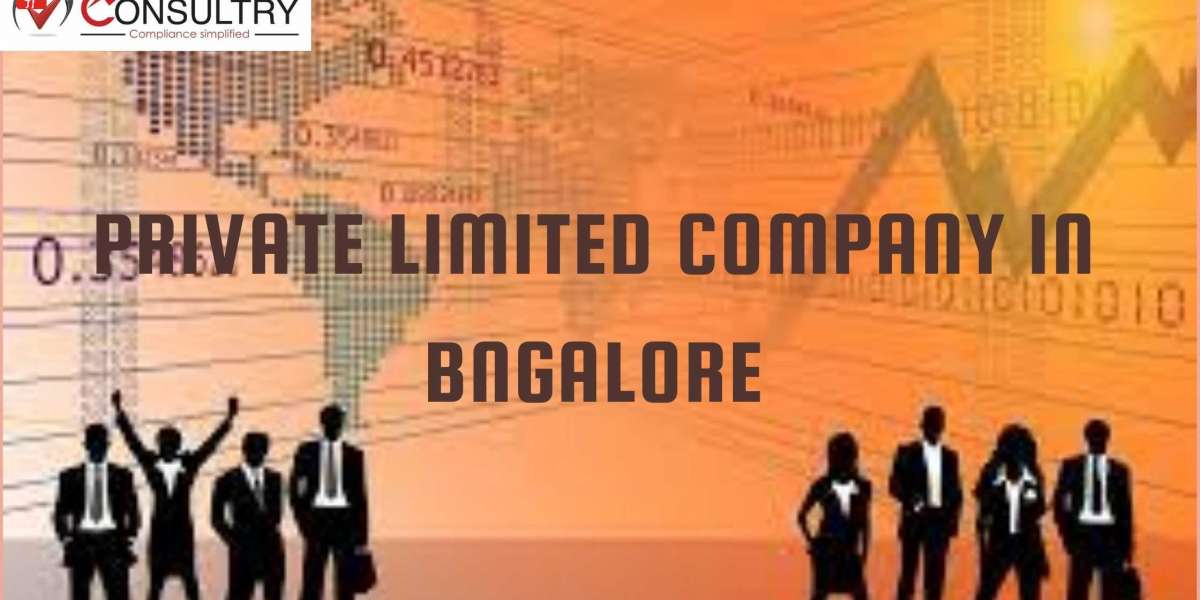 Auditing Requirements of Private Limited Company in Bangalore