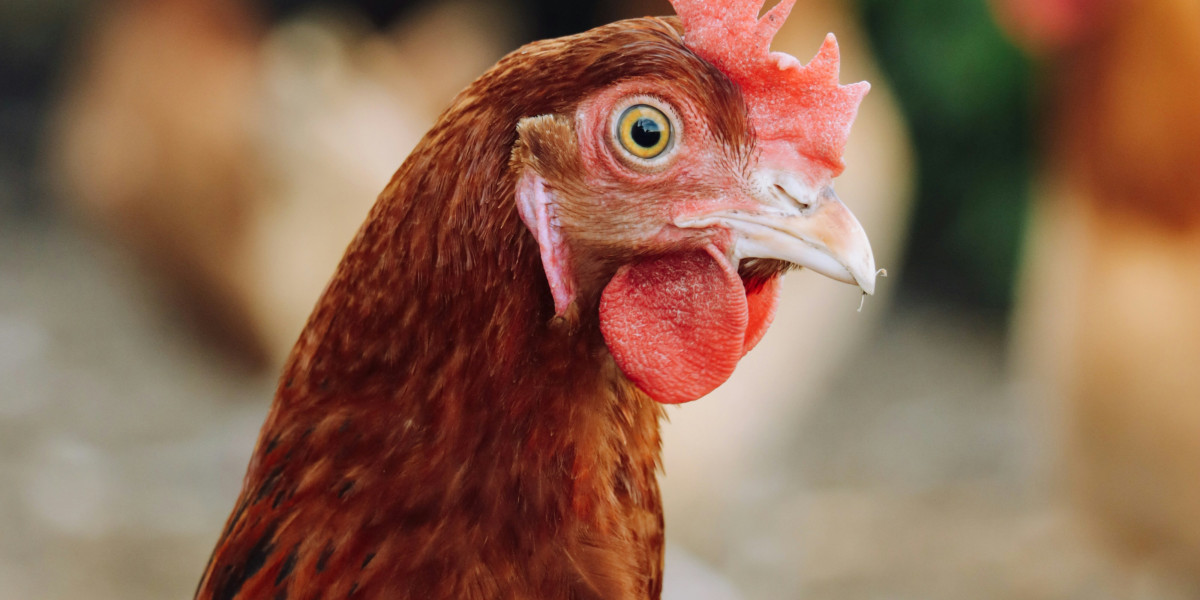 Just do not spend time to solve your problems