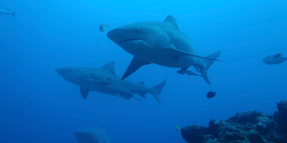 Just continue dragging yourself into the office and hoping for the weekend